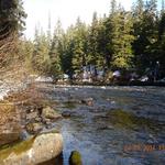 Bridge Design - Kitimat River - 45m Steel Girder Bridge with Pipe Column Abutments.