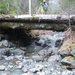 Site Survey and Bridge Replacement Design - 40' Steel Deck Portable - Vancouver Island