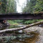 Skeena Sawmills - Emsley River bridge - 21m steel girder bridge - site survey - design - inspections - construction supervision - conformance report