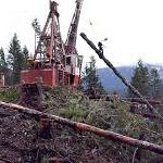 high lead, ground-based and helicopter logging layout and design - BCTS - Squamish, Sechelt, Chilliwack 