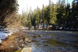 Bridge Design - 45m Steel Girder Bridge with Timber Deck and Pipe Column Abutments - Kitimat River